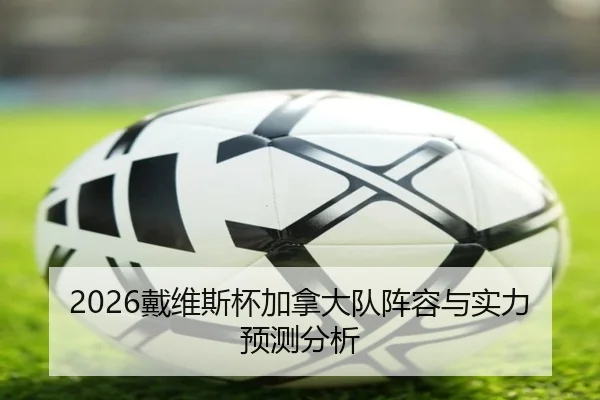 2026戴维斯杯加拿大队阵容与实力预测分析 - youde88